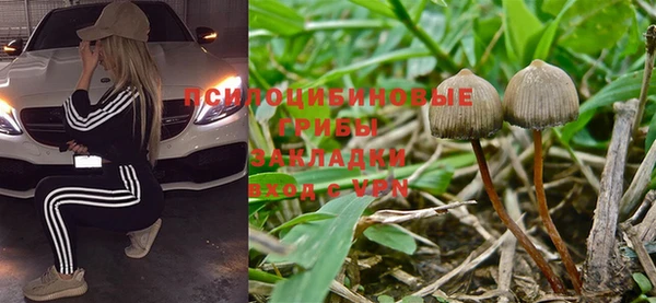 герыч Арсеньев