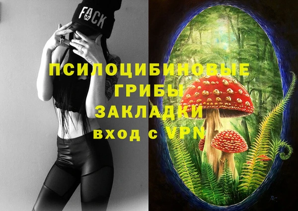 герыч Арсеньев